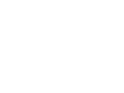 Doc Brown Logo